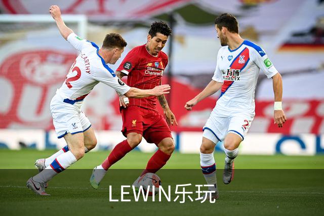 LEWIN乐玩公司简介展示图